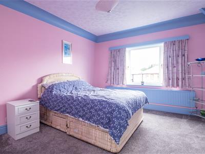 Picture 16